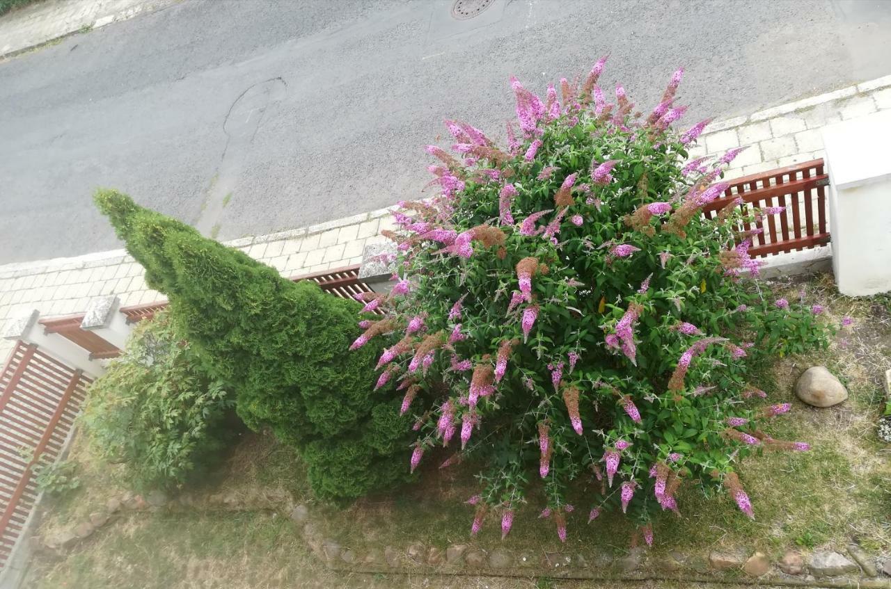 Penzion Flora Žatec Eksteriør bilde